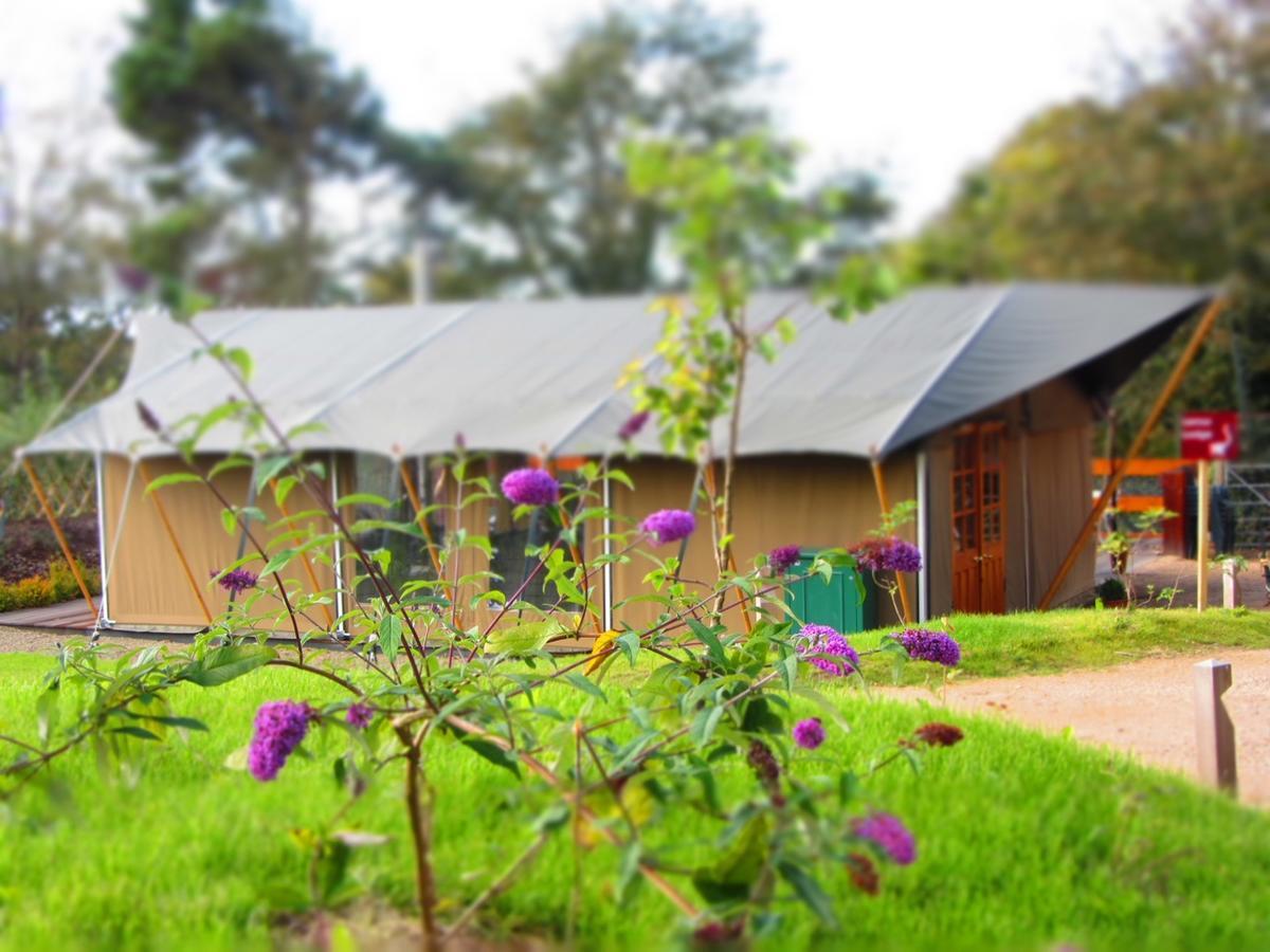 Hotel Durrell Wildlife Camp Trinity Zewnętrze zdjęcie